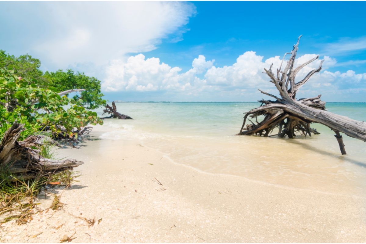 20 Of The Best Secluded Beaches In Florida