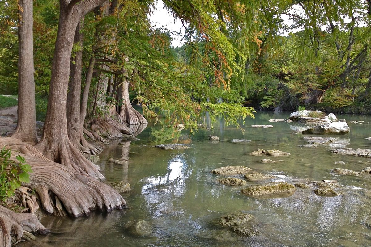 6. Guadalupe River State Park