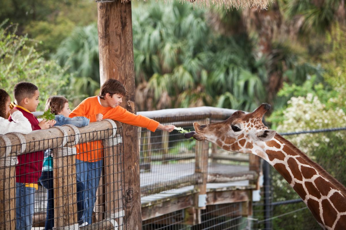 Top 5 Zoos In New York City For Tourists