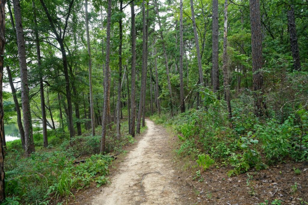 14 Of The Most Stunning Trails To Go Hiking In Houston Today
