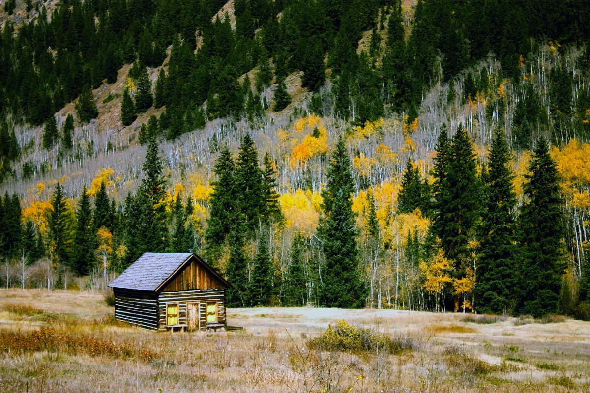 17 Peaceful And Secluded Cabins In Colorado (Perfect For A Calm Vacation)